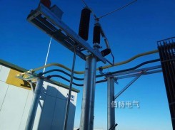 35kV3150A半絕緣銅管型快猫成人网站