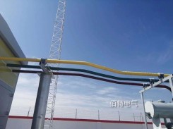 10kV5000A半絕緣銅管型快猫成人网站